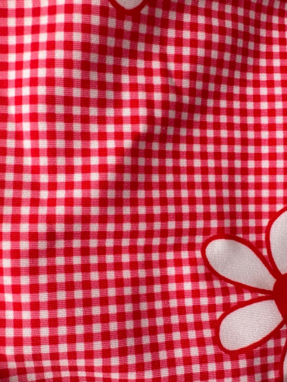 Heavy Manners Red Gingham and Flowers Bikini NWT - Picture 4 of 10